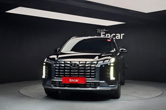Hyundai Palisade Diesel 2.2 2WD Calligraphy — пробег 46 985 км — фото 3 из 5