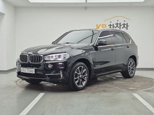 BMW X5 xDrive 30d — пробег 224 170 км — фото 1 из 5