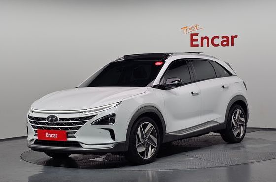 Hyundai Nexo Premium — пробег 79 779 км — фото 1 из 5