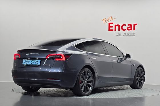 Tesla Model 3 Performance AWD — пробег 177 790 км — фото 2 из 5