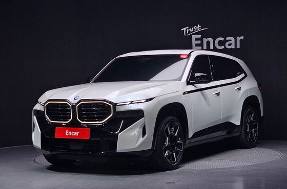 BMW XM 4.4 — пробег 38 273 км — фото 1 из 5