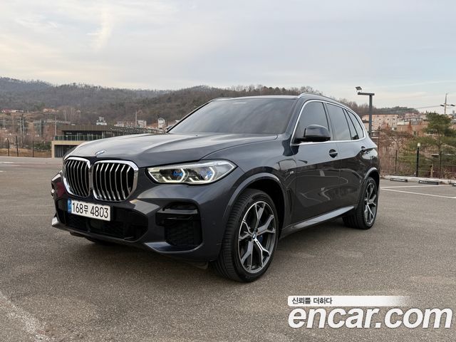 BMW X5 xDrive 30d M Sport — пробег 103 000 км — фото 1 из 5