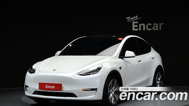 Tesla Model Y Long Range AWD — пробег 81 082 км — фото 1 из 5