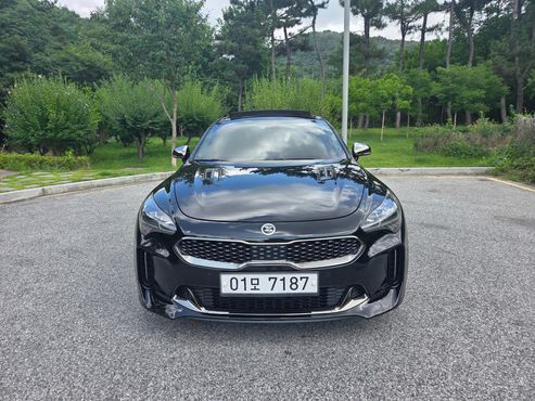 Kia Stinger 2.0 Turbo 2WD Platinum — пробег 131 164 км — фото 3 из 5