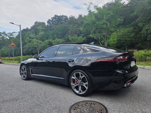 Kia Stinger 2.0 Turbo 2WD Platinum — пробег 131 164 км — фото 5 из 5