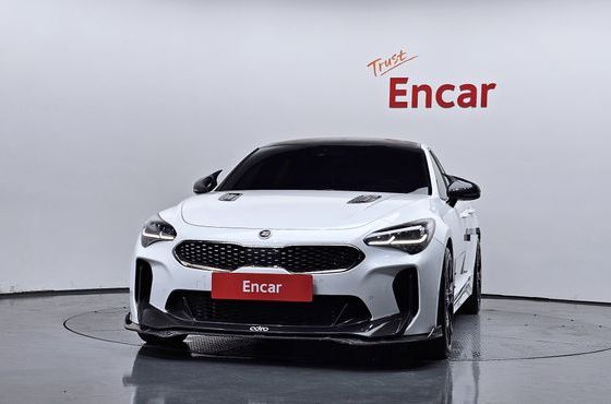Kia Stinger 2.0 Turbo AWD Platinum — пробег 134 606 км — фото 3 из 5