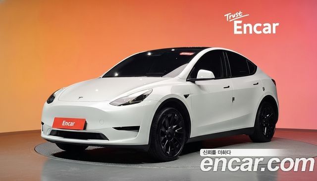 Tesla Model Y RWD — пробег 42 013 км — фото 1 из 5