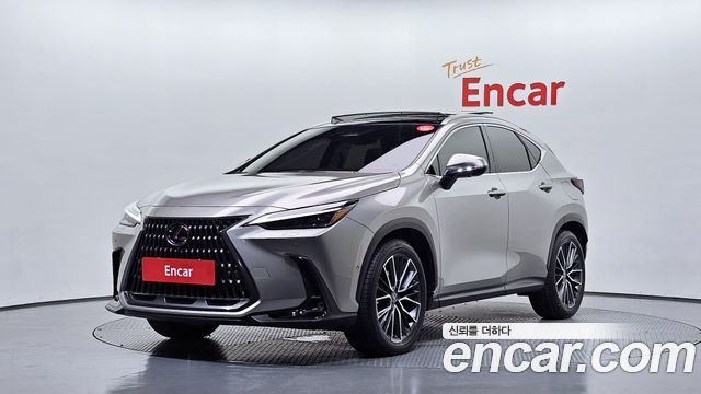 Lexus NX Luxury — пробег 7 825 км — фото 1 из 5