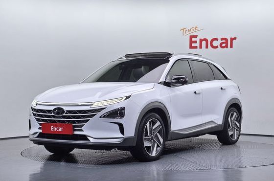 Hyundai Nexo Premium — пробег 74 196 км — фото 1 из 5