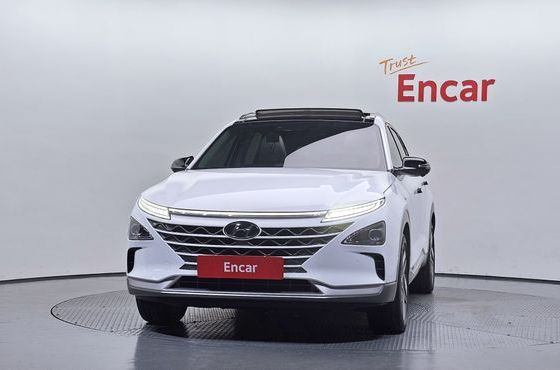 Hyundai Nexo Premium — пробег 74 196 км — фото 3 из 5