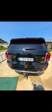 Hyundai Palisade Gasoline 3.8 2WD Calligraphy — пробег 52 000 км — фото 5 из 5