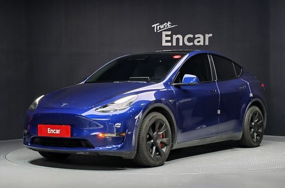 Tesla Model Y Long Range AWD — пробег 62 861 км — фото 1 из 5
