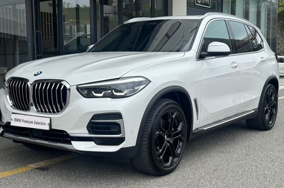 BMW X5 xDrive 30d xLine — пробег 71 747 км — фото 1 из 5