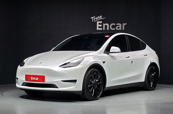 Tesla Model Y RWD — пробег 117 763 км — фото 1 из 5