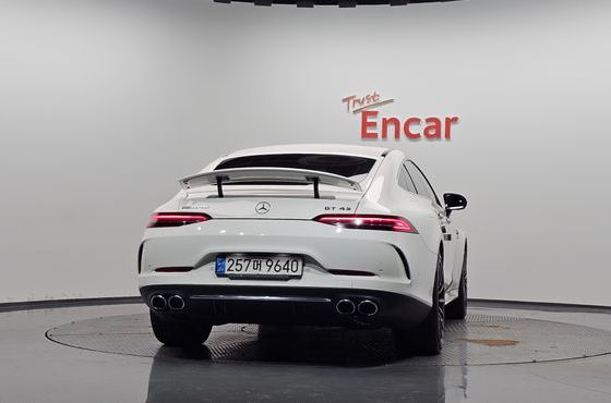Mercedes-Benz AMG GT 4Door 43 4MATIC+ — пробег 133 028 км — фото 4 из 5