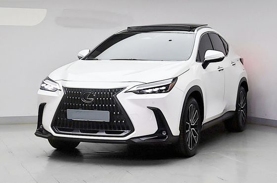 Lexus NX Luxury — пробег 18 135 км — фото 1 из 5