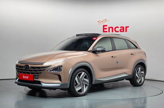 Hyundai Nexo Premium — пробег 73 203 км — фото 1 из 5