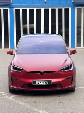 Tesla Model X Plaid — пробег 29 000 км — фото 1 из 5