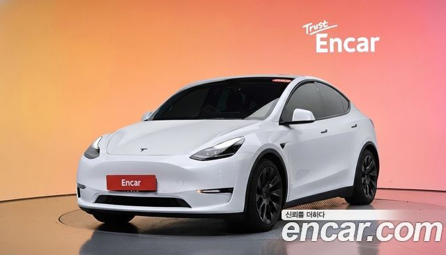 Tesla Model Y Performance AWD — пробег 52 984 км — фото 1 из 5