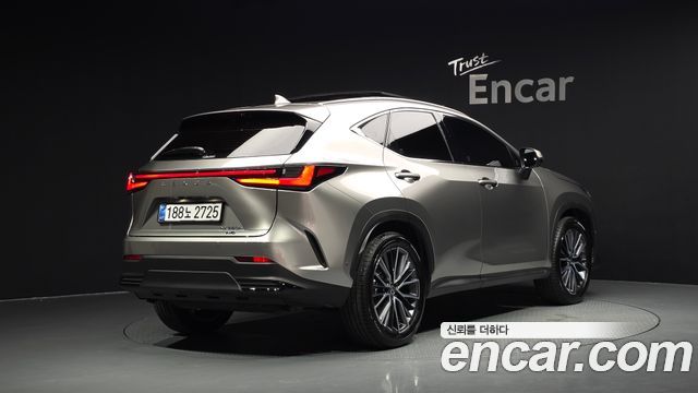 Lexus NX Luxury — пробег 11 816 км — фото 2 из 5