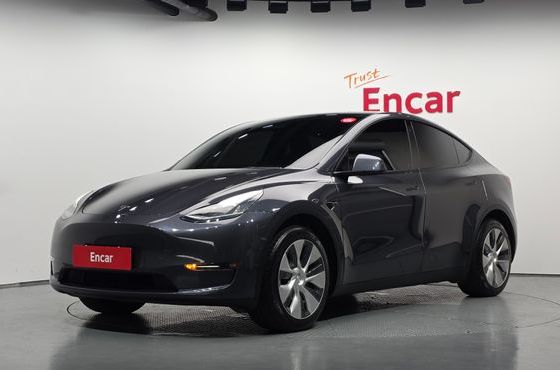 Tesla Model Y Standard Range RWD — пробег 96 971 км — фото 1 из 5