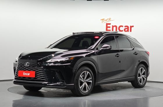 Lexus RX Luxury — пробег 41 147 км — фото 1 из 5