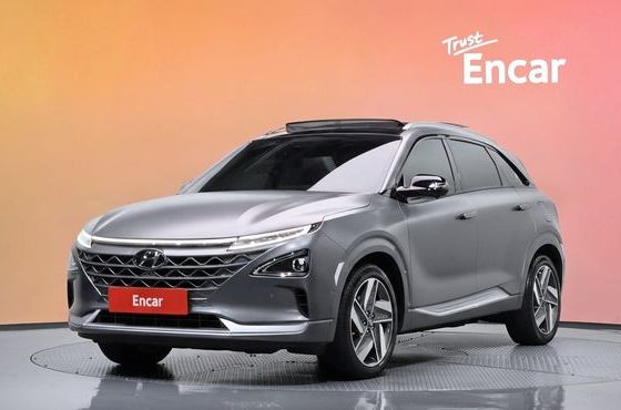 Hyundai Nexo Premium — пробег 73 360 км — фото 1 из 5
