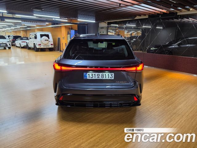 Lexus RX F-Sport — пробег 9 421 км — фото 4 из 5