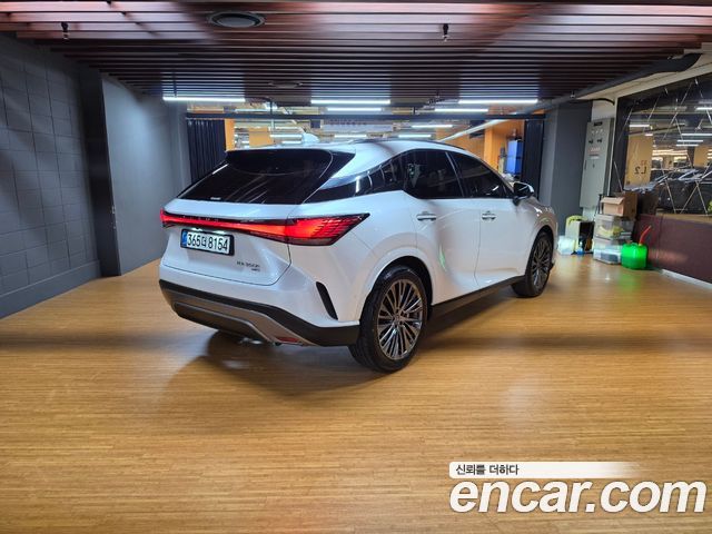Lexus RX Luxury — пробег 4 999 км — фото 2 из 5