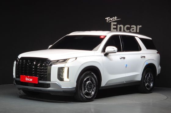 Hyundai Palisade Diesel 2.2 2WD Exclusive — пробег 54 476 км — фото 1 из 5