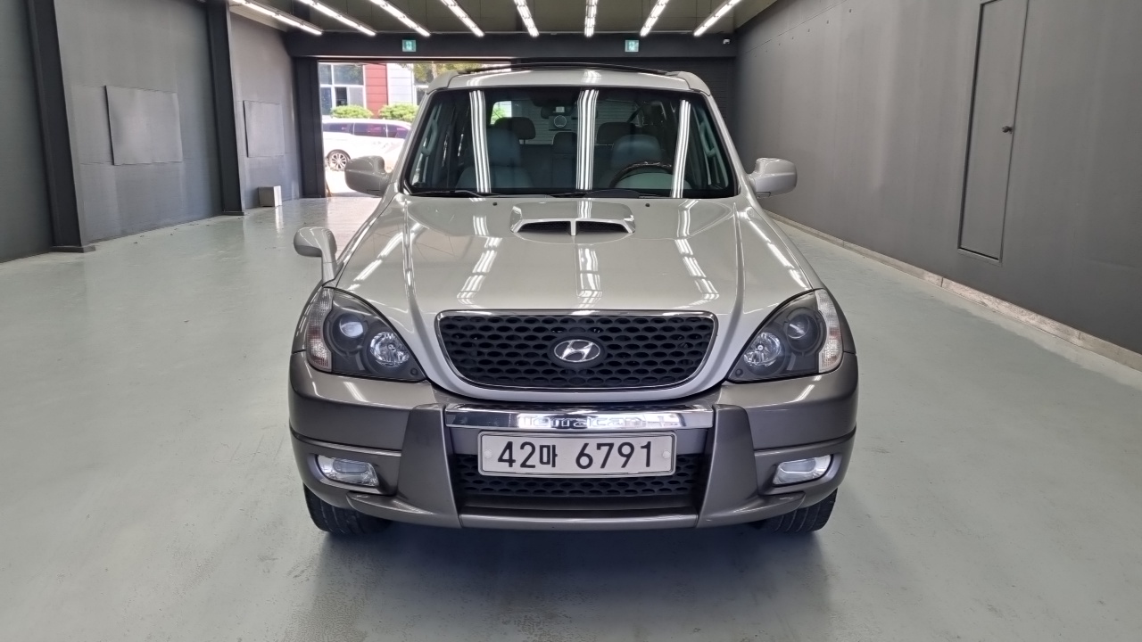 Hyundai Terracan 4WD JX290 Gold Deluxe — пробег 163 252 км — фото 3 из 5