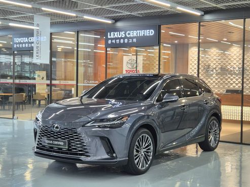 Lexus RX Luxury — пробег 7 381 км — фото 1 из 5