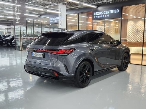 Lexus RX F-Sport — пробег 21 144 км — фото 2 из 5