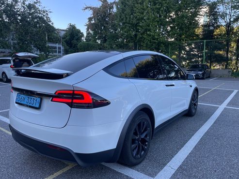 Tesla Model X Long Range — пробег 47 048 км — фото 2 из 5