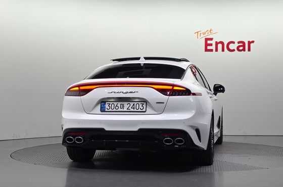 Kia Stinger 2.5 AWD Masters — пробег 40 234 км — фото 4 из 5