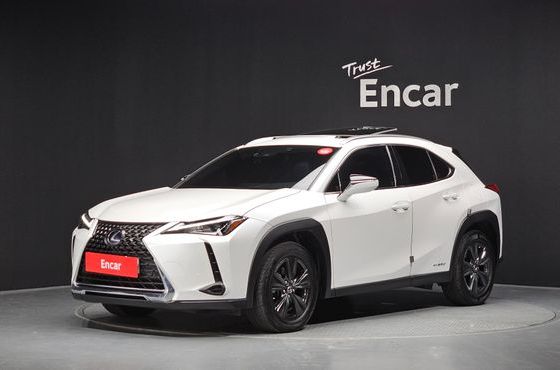 Lexus UX 2.0 2WD — пробег 40 411 км — фото 1 из 5