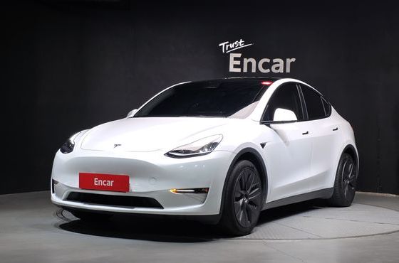 Tesla Model Y Long Range AWD — пробег 80 598 км — фото 1 из 5