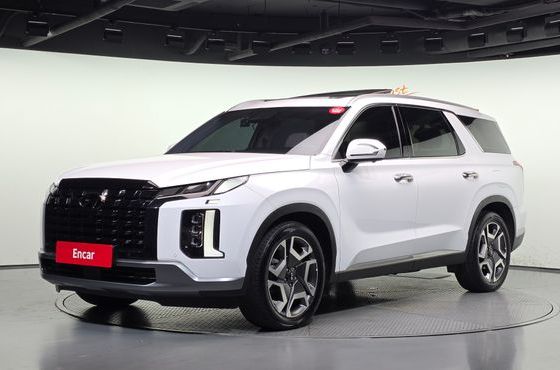Hyundai Palisade Diesel 2.2 2WD Prestige — пробег 155 175 км — фото 1 из 5