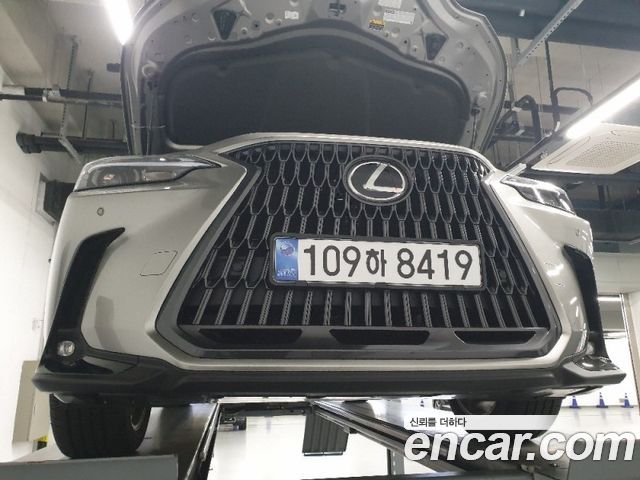 Lexus NX Premium — пробег 3 587 км — фото 1 из 3