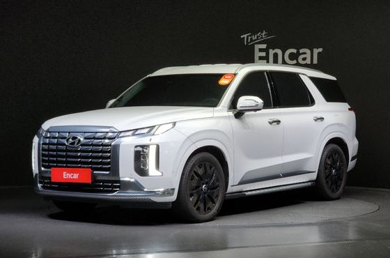 Hyundai Palisade Diesel 2.2 4WD Calligraphy — пробег 44 550 км — фото 1 из 5