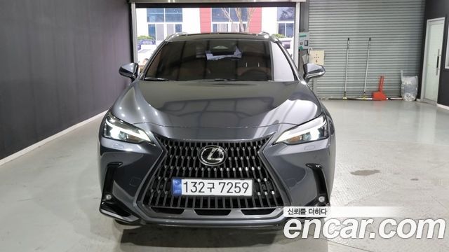 Lexus NX Premium — пробег 53 000 км — фото 1 из 5