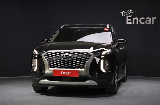 Hyundai Palisade Diesel 2.2 4WD Exclusive — пробег 119 313 км — фото 3 из 5