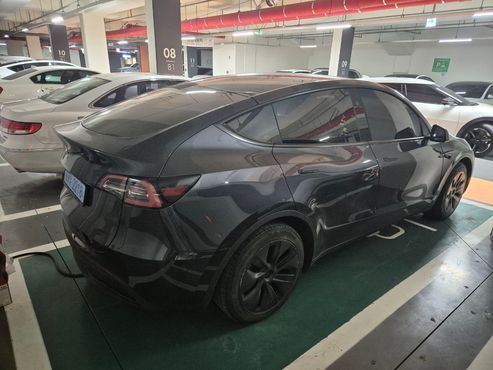 Tesla Model Y RWD — пробег 11 000 км — фото 2 из 5