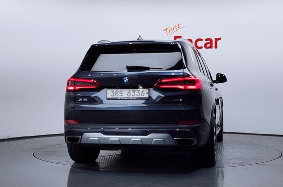 BMW X5 xDrive 30d xLine — пробег 80 713 км — фото 4 из 5