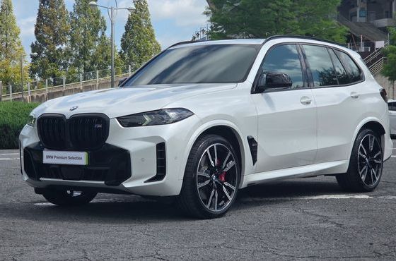 BMW X5 M60i — пробег 25 877 км — фото 1 из 5