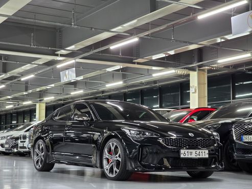 Kia Stinger 2.0 Turbo 2WD Platinum — пробег 60 017 км — фото 5 из 5