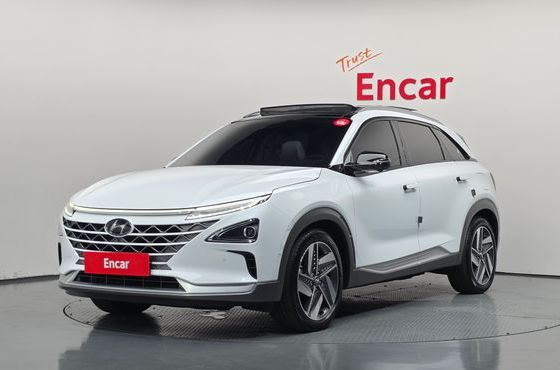 Hyundai Nexo Premium — пробег 77 106 км — фото 1 из 5