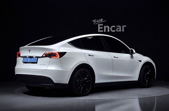 Tesla Model Y Long Range AWD — пробег 95 383 км — фото 2 из 5