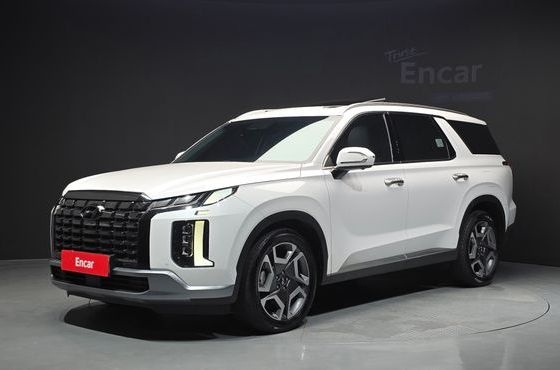 Hyundai Palisade Diesel 2.2 4WD Le Blanc — пробег 143 819 км — фото 1 из 5