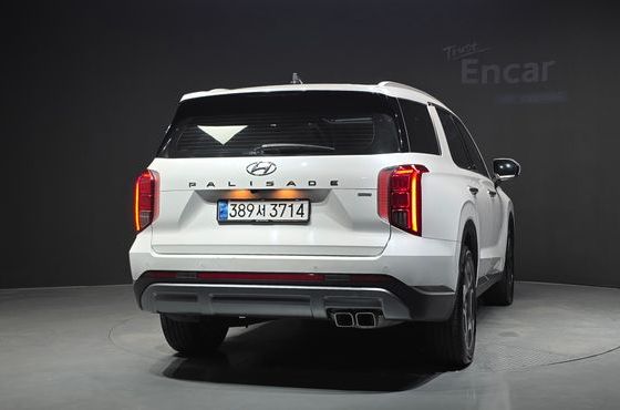 Hyundai Palisade Diesel 2.2 4WD Le Blanc — пробег 143 819 км — фото 4 из 5